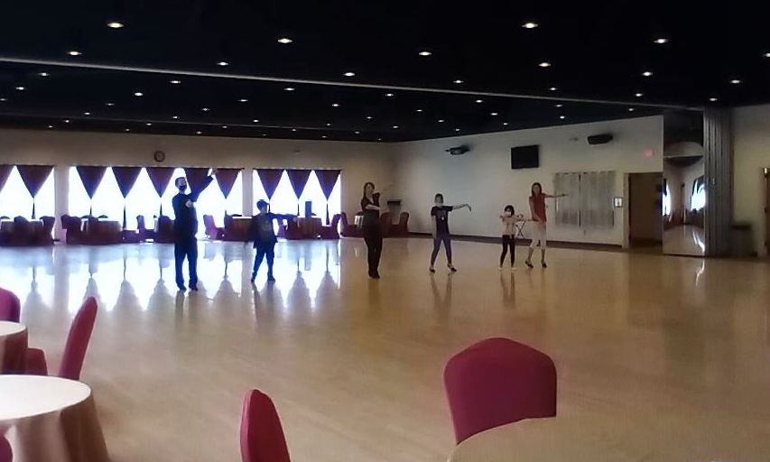 Children Summer Camp in Houston at DanceSport Club.  Ballroom dance lesson Waltz